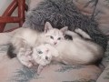 Maya und Mia